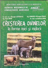 GHEORGHE STEFANESCU, FLORIN DRON - CRESTEREA OVINELOR IN FERME MICI SI MIJLOCII foto