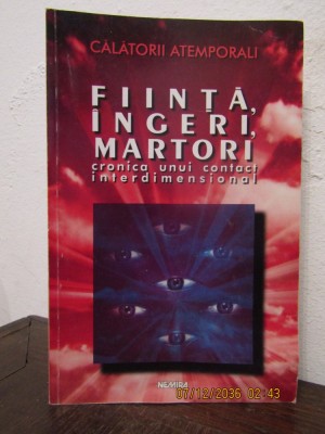 Fiinta , ingeri ,martori - cronica unui contact interdimensional foto