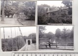 Bnk foto - Craiova - Parcul Poporului - 1962 - lot 8 fotografii, Alb-Negru, Romania de la 1950, Cladiri