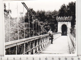 Bnk foto - Craiova - Podul din Parcul Poporului, Alb-Negru, Romania de la 1950, Cladiri