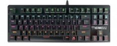Tastatura Gaming Gamdias Hermes E2, Iluminare LED (Negru) foto