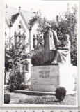 Bnk foto - Targu Mures - Statuia lui Bolyai Farkas si Bolyai Janos, Alb-Negru, Romania de la 1950, Cladiri
