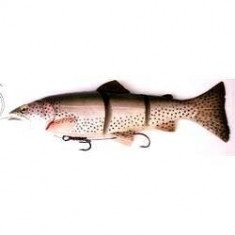 Naluca soft 3D TROUT LINE THRU 20CM/93G SS01 Fishing Hunting foto