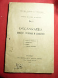 Organizarea Directiei Generale a Industriei- Dir. de Studii si Anchete 1920