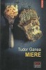 AS* - GANEA TUDOR - MIERE, Polirom