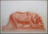 Statueta, Leu cu prada ? - semnat monogramic S.K. &#039;67, Animale, Carbune, Altul