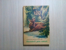 HOINARELI PRIN NATURA - Ionel Pop - Coca Cretoiu Seinescu (ilustratii) - 1972 foto