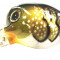 VOBLER TADPOLE 3CM/2,5G Fishing Hunting