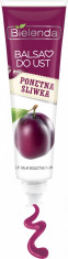 FRUITY LINE Balsam de buze cu aroma de Prune 10g - NVS-BIE195113 Pure Sensation foto