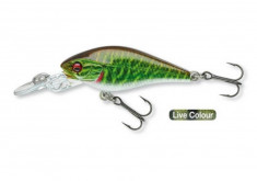 Vobler PROREX BABY CRANK MR 4CM/3G LIVE PIKE Fishing Hunting foto