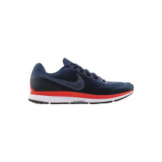 Air Zoom Pegasus 34 foto