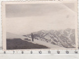 Bnk foto - Lantul Rodnei vazut de pe varful Ineu - 1953, Alb-Negru, Romania de la 1950, Natura