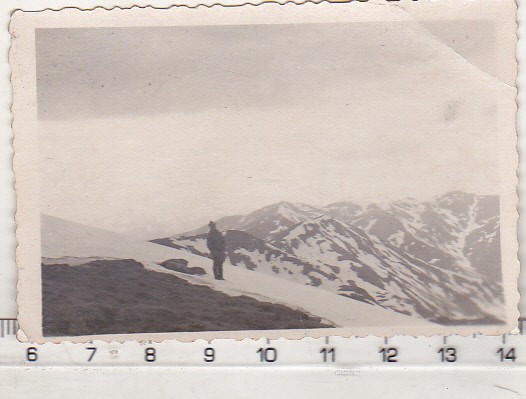 bnk foto - Lantul Rodnei vazut de pe varful Ineu - 1953
