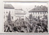 Bnk foto - Caransebes - Vedere din parc, Alb-Negru, Romania de la 1950, Cladiri