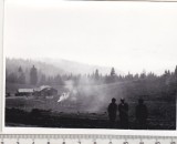bnk foto - Padis - Stana - 1971