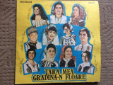 Tara mea gradina-n floare disc vinyl lp selectii muzica populara folclor RSR VG+, VINIL, electrecord