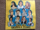 Tara mea gradina-n floare disc vinyl lp selectii muzica populara folclor RSR VG+, VINIL, Electrecord