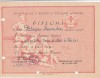QW13 11 - 1953 - diploma - absolvire curs Aparare sanitara - Crucea rosie a RPR