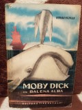 MOBY DICK SAU BALENA ALBA-HERMAN MELVILLE