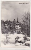 Bnk cp Sinaia - Muzeul Peles - necirculata, Printata