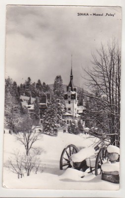 bnk cp Sinaia - Muzeul Peles - necirculata foto