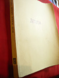 Dr.Al.Pop, A.Nana, E.Adam - Spina si Bolile Sangelui 1945 Ed. H.Welther Sibiu