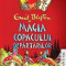 Magia copacului departarilor - Enid Blyton