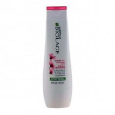 ?ampon Biolage Colorlast Matrix foto