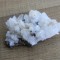 Specimen minerale - CUART (T2)