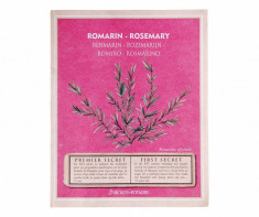 Pachet de seminte de rozmarin Growing Healty Rosemary foto