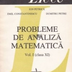 I. Petrică - Probleme de analiză matematică ( vol. I - cls. XI )