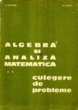 D. Flondor - Algebră şi analiză matematică - culegere de probleme