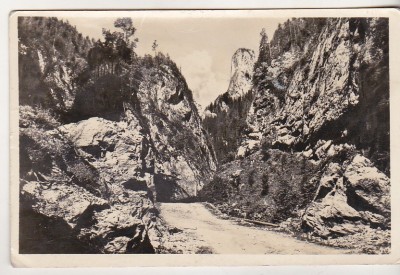 bnk cp Drumul in Cheile Bicazului - Vedere - circulata foto