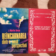 REINCARNARE CARTI-MARTIN SORGE/AUREL POPESCU-BALCESTI (2 VOL)