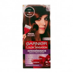 Vopsea Permanenta Color Sensation Intensissimos Garnier foto