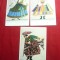 3 Ilustrate -Costume Populare Polonia -interbelice