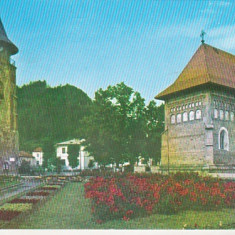 bnk cp Piatra Neamt - Turnul si biserica lui Stefan cel Mare - necirculata