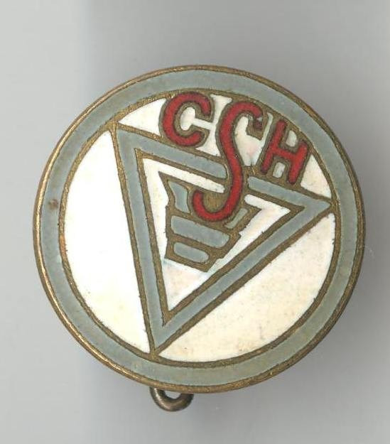 CSH - COMBINATUL SIDERURGIC HUNEDOARA - Insigna VESCHE - SUPERBA