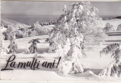 bnk cp Iarna pe muntele Semenic - Vedere - circulata foto