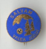 SALVAM VALEA JIULUI - Insigna SUPERBA