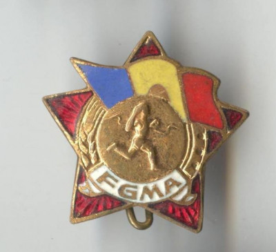 FGMA - GATA PENTRU MUNCA SI APARARE RPR Insigna VECHE 1949 foto