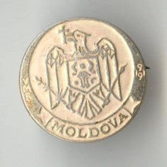 HERALDICA - STEMA - MOLDOVA - Insigna