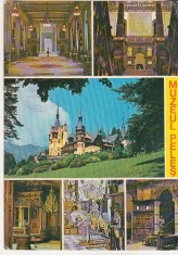 bnk cp Sinaia - Muzeul Peles - circulata - marca fixa