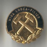 MINA LONEA - PILIER - Insigna MINERIT