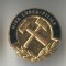 MINA LONEA - PILIER - Insigna MINERIT