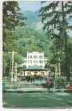 bnk cp Herculane - Vedere - circulata