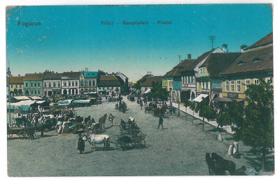 3496 - FAGARAS, Brasov, Market, Romania - old postcard - used - 1913 foto