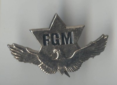 FGM - Insigna PROTECTIE SI PAZA foto