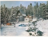 bnk cp Sinaia - Vila Albina - uzata