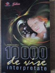 10000 DE VISE INTERPRETATE - PAMELA BALL foto